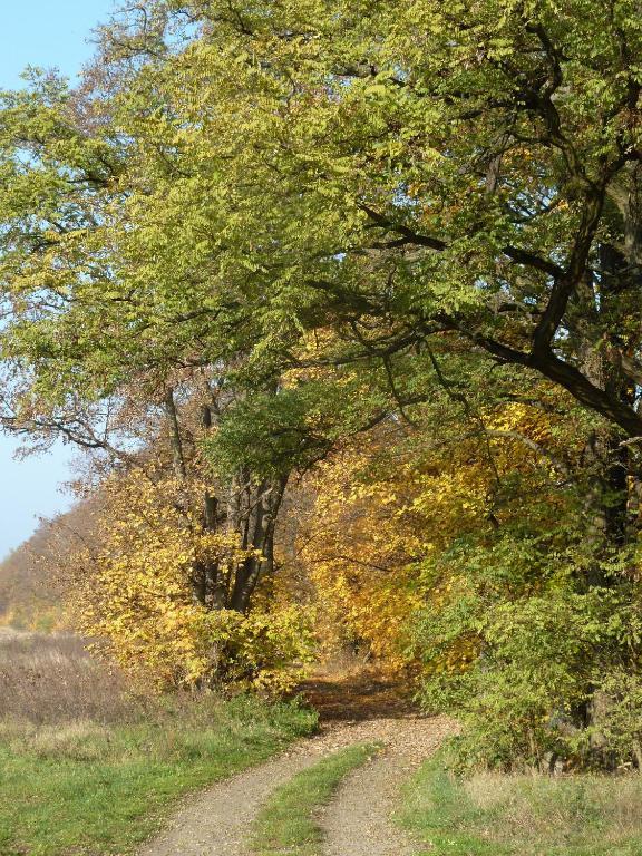 Gospodarstwo Agroturystyczne Leśniczówka Lubin  Exterior foto