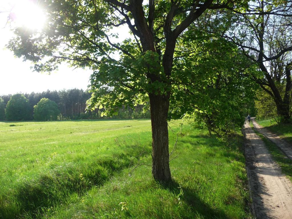 Gospodarstwo Agroturystyczne Leśniczówka Lubin  Exterior foto