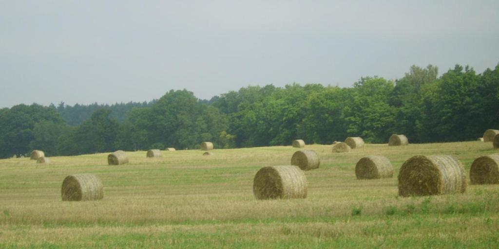 Gospodarstwo Agroturystyczne Leśniczówka Lubin  Exterior foto