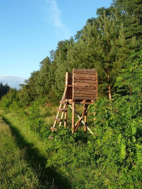 Gospodarstwo Agroturystyczne Leśniczówka Lubin  Exterior foto