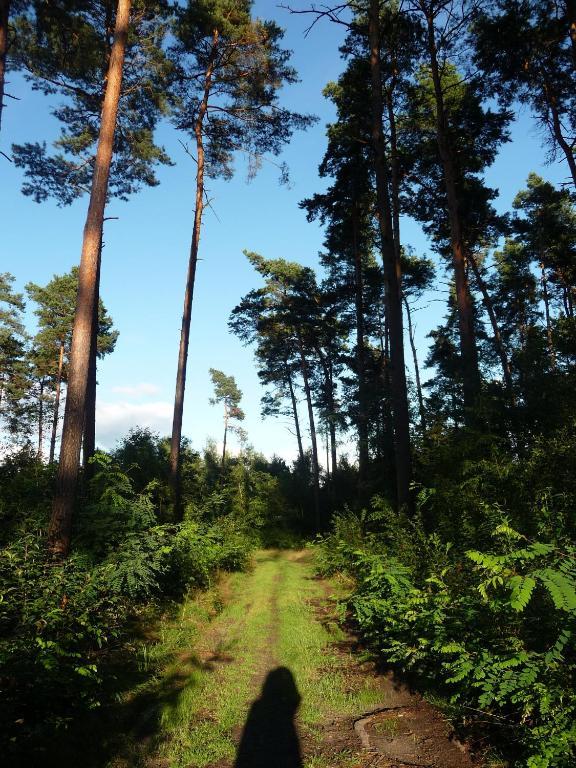 Gospodarstwo Agroturystyczne Leśniczówka Lubin  Exterior foto